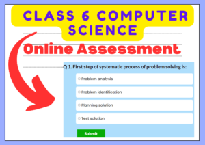 Assessment for Class 6 Computer Science